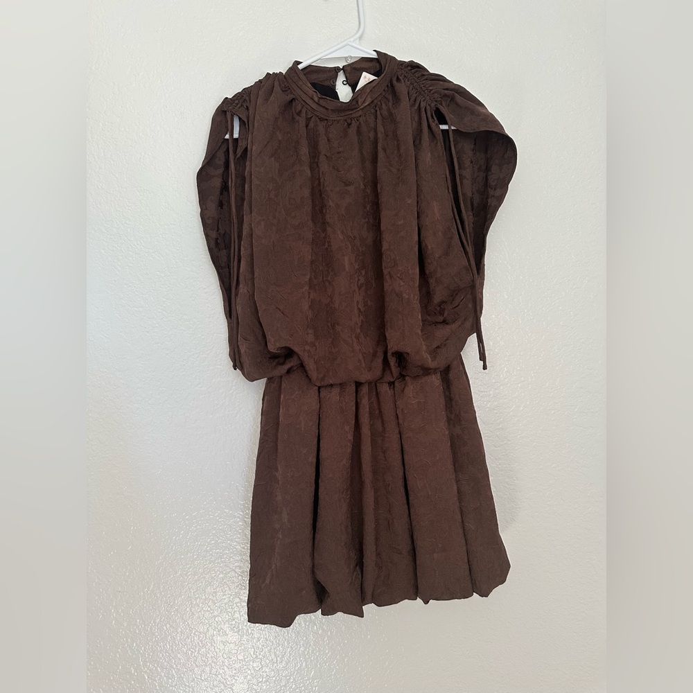 Charming Brown Zara Dress